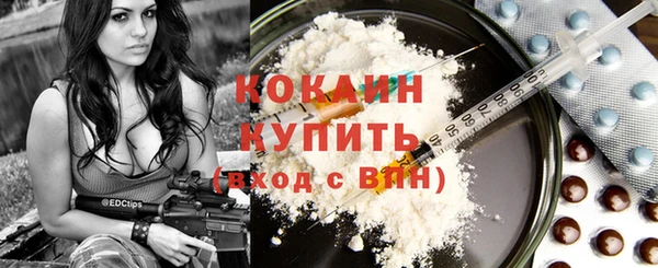 сатива Арсеньев