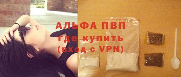 сатива Арсеньев