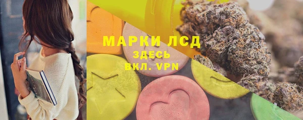 мяу мяу мука Аркадак