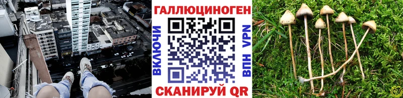 Псилоцибиновые грибы ЛСД  Новоржев 
